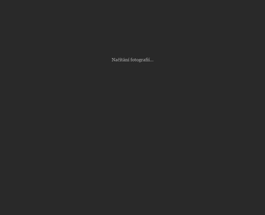 Fotografick� portfolio