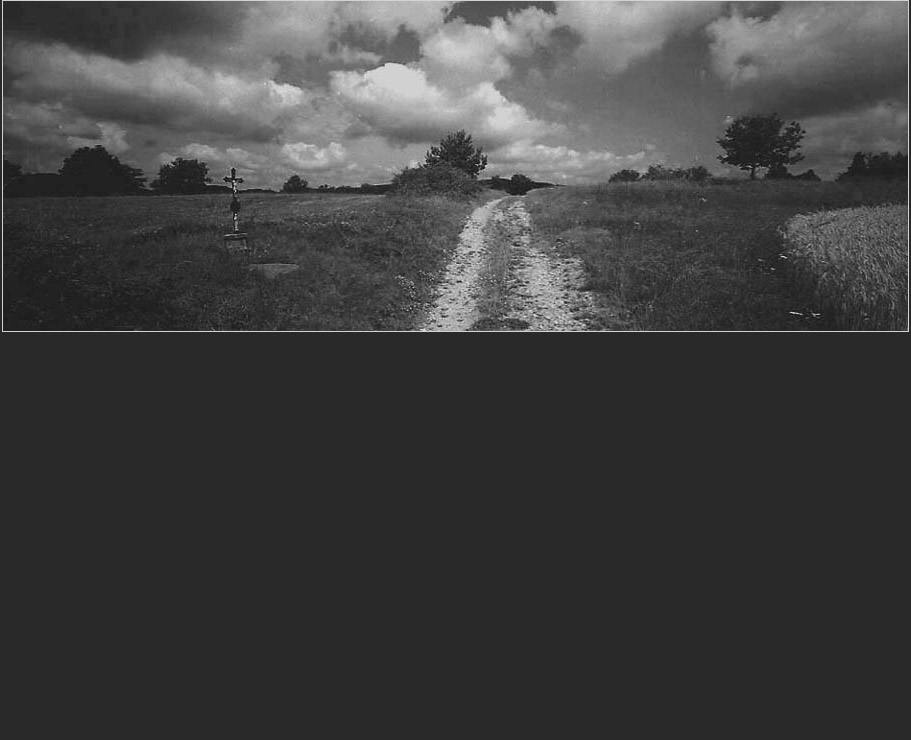 Fotografick� portfolio