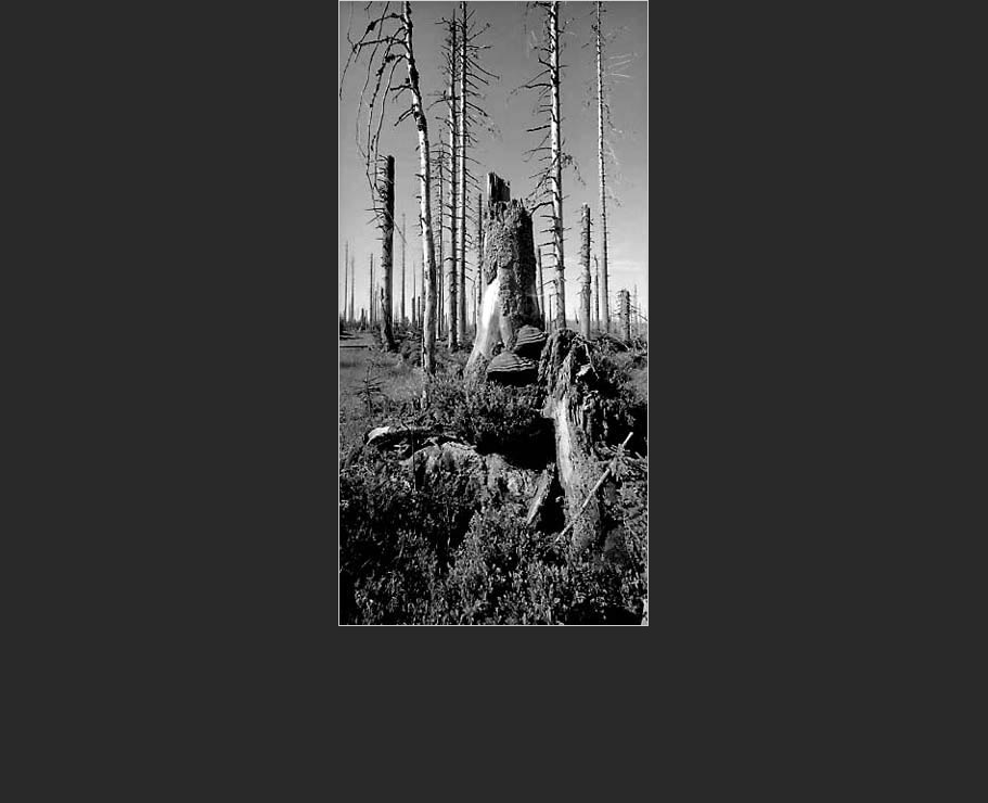 Fotografick� portfolio