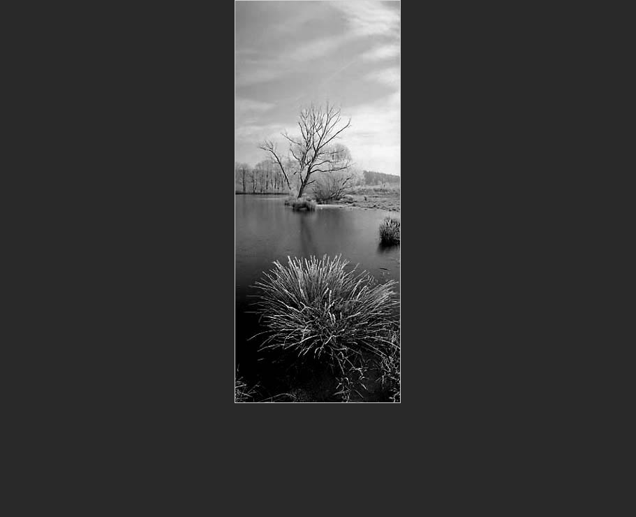Fotografick� portfolio