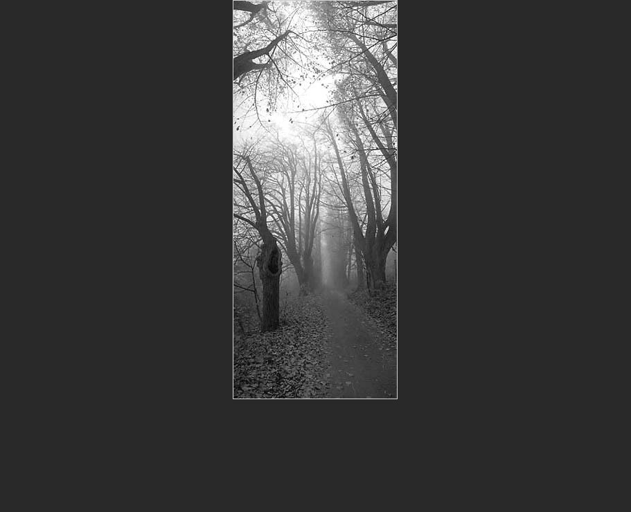 Fotografick� portfolio