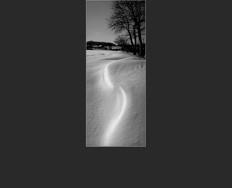 Fotografick� portfolio