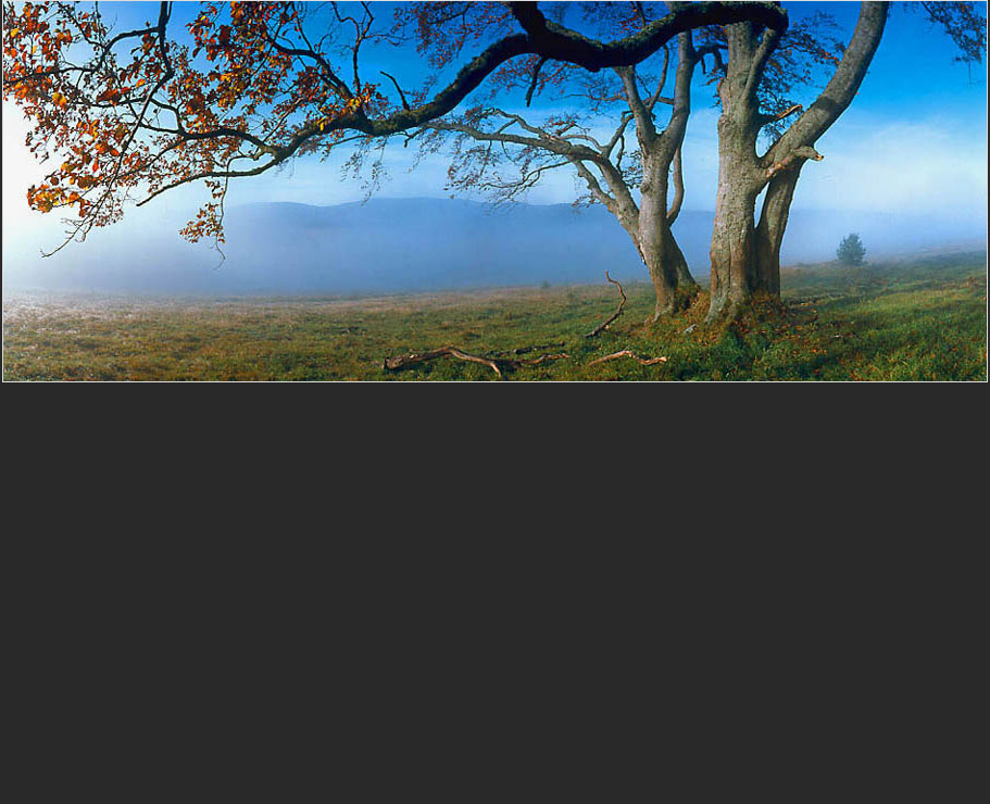 Fotografick� portfolio