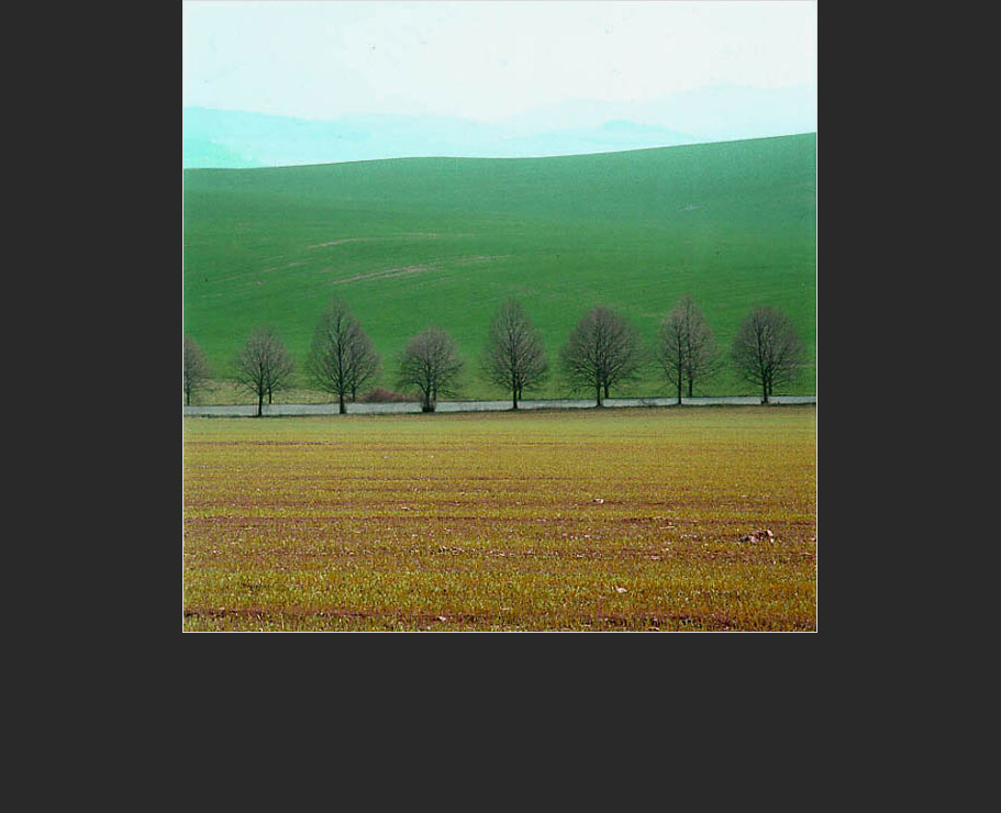 Fotografick� portfolio