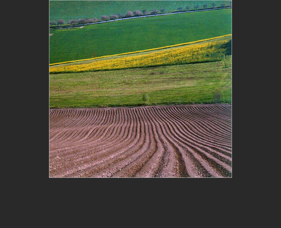 Fotografick� portfolio