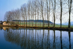 1995 / Nr. 1
