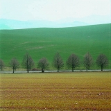 1991 / Nr. 3