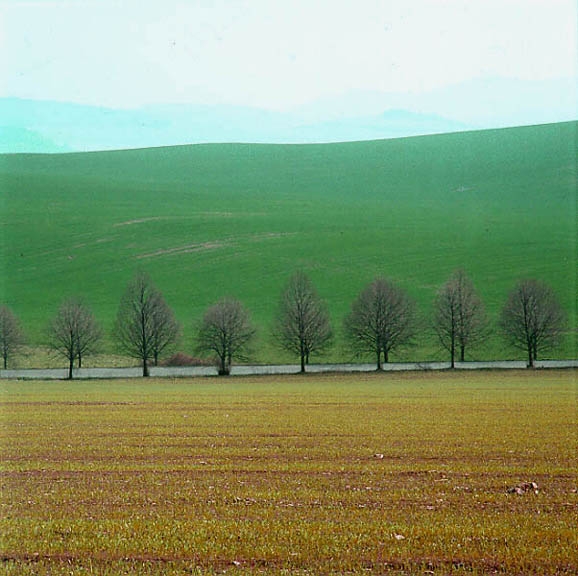 1991 / Nr. 3
