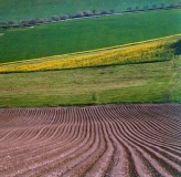 1991 / Nr. 4