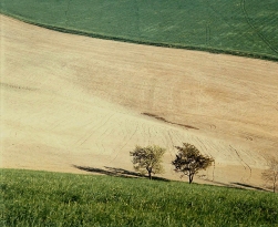 1991 / Nr. 5