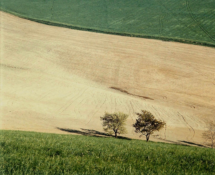1991 / Nr. 5