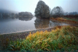 2002 / Nr. 6