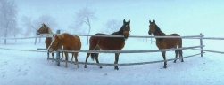 1999 / Nr. 9