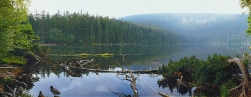 1996 / Nr. 3