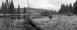 1997 / Nr. 13