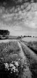 Čejkovy 2008 / Nr. 9