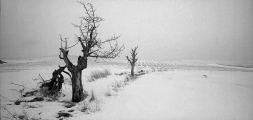 Běhařov 2010 / Nr. 20